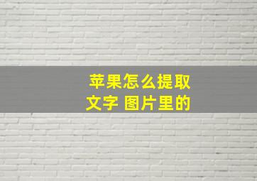 苹果怎么提取文字 图片里的